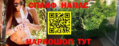 СК Ачхой-Мартан