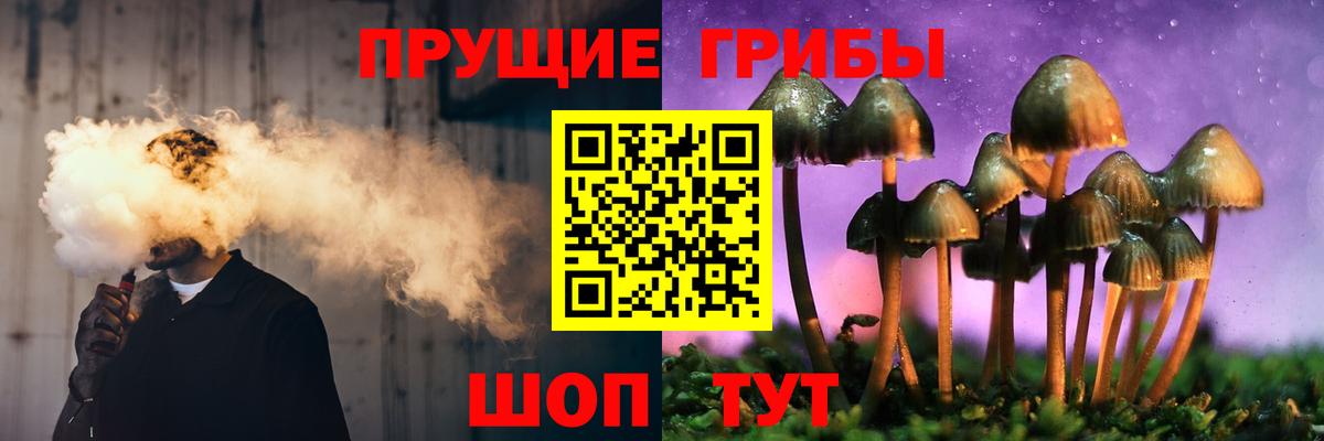 Псилоцибиновые грибы Psilocybine cubensis Кировск